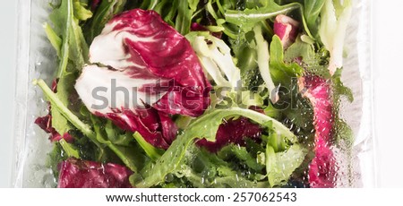 refrigerated Italian salad