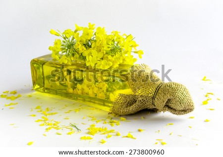 Canola oil. Bottle with rapeseed oil on a white background. Rapeseed.