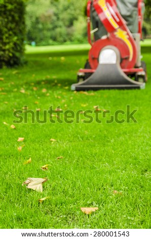 Lawn Care. Cleaning the lawn of leaves with a vacuum cleaner.