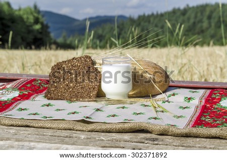 Glass of milk, bread and spikes of rye against the backdrop of nature in the countryside.