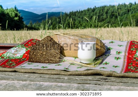 Glass of milk, bread and spikes of rye on the tablecloth in the background of nature in the countryside.