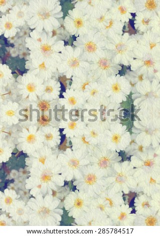 Floral (daisy flowers) digital kaleidoscopic, pattern collage, faded oil painting style art work/background.