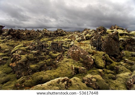 Lava rocks popping out of the moss on Iceland