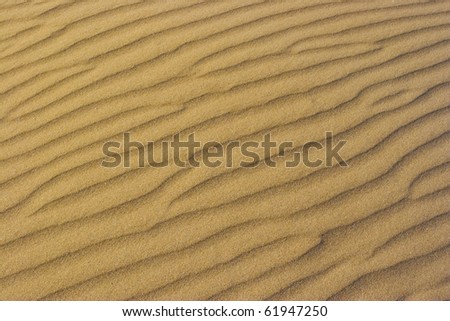 sand texture/sand texture/sand texture