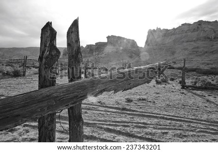 Abandoned fence post in Utah.