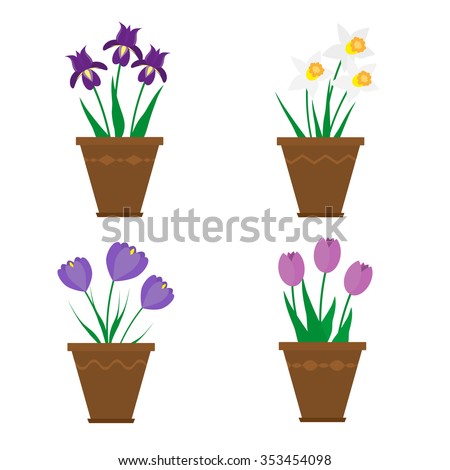 Spring flowers in pots isolated on white background. Violet irises, purple crocuses, white narcissus, purple tulips. Collection of potted spring flowers in flat style.