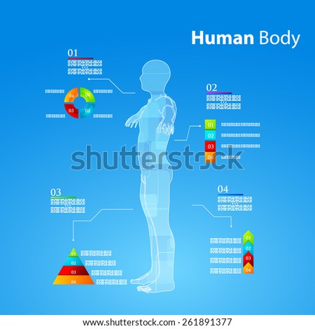 Vector Illustration Of Medicine Infographics. Schematic Description Of 