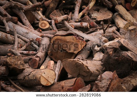 Dead wood must be cut into pieces and to make fuel.