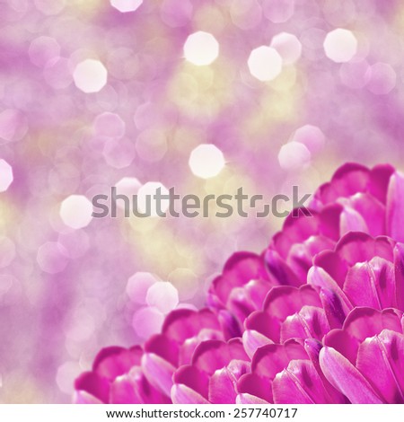 Floral border blurred yellow background, flowers