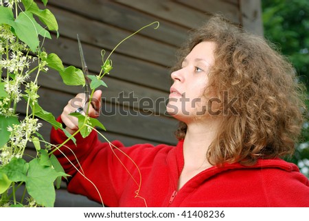 Young woman cutting climber plant with scissors