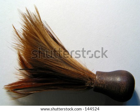 Feather brush