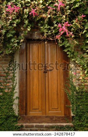 Wooden door with nature