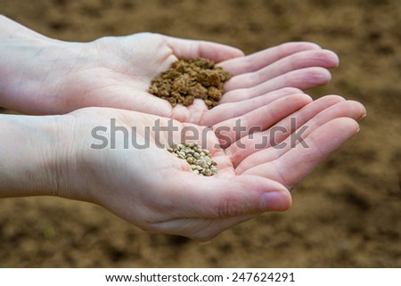 Seeds in a hand on a farm