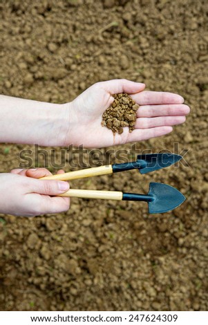 Gardening tool and dirt in hands