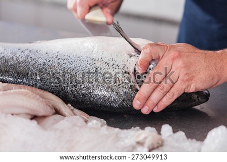 Man cutting a pink salmon