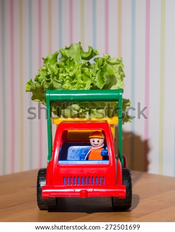 Colorful Toy Truck with lettuce