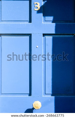Blue Painted Door