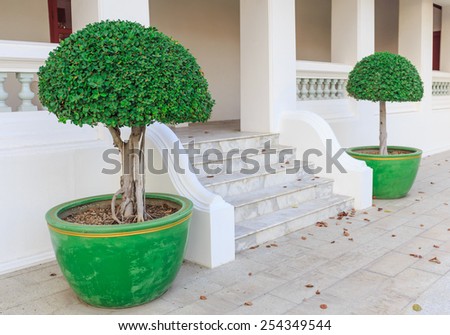 BANGKOK - FEB,19 : The green pot and garden trees are decorated beside the steps of the royal Thai navy headquarter. THAILAND FEB,19 2015.