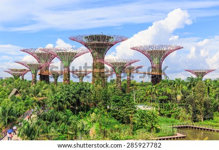 SINGAPORE, JUNE ,9 : Garden by the Bays at Singapore near attraction like Marina  Bays.The great place for tourists are going to see nature.SINGAPORE JUNE ,9 2015