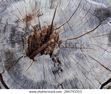 wood skin cut background and textures