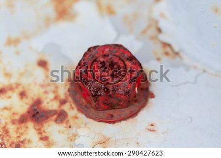 rusty bolt and nut on white metal plate