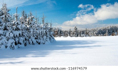 wintry landscape scenery with flat county and woods