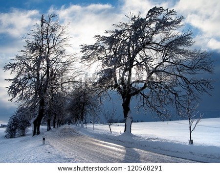 wintry view of tree lined road with shadow of tree sun and cloudy sky