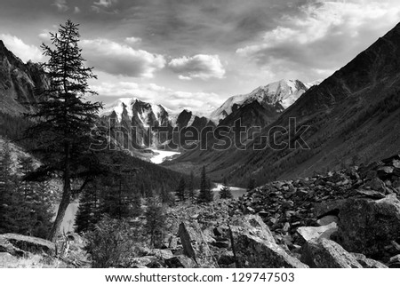 black and white panoramic view of savlo rock face - altai range - mountains russia