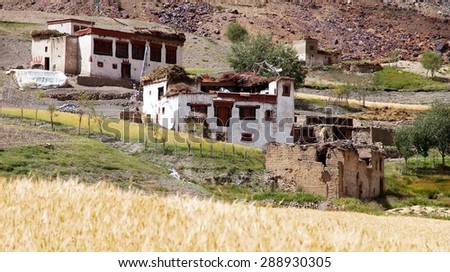 Lingshed (Lingshet, Lingshot) village -  Zanskar valley - Ladakh - Jammu and Kashmir - India