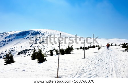 snow path in the mountains in winter