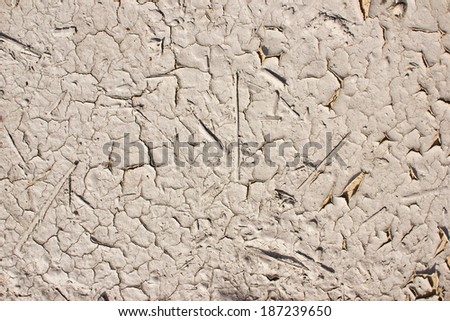 Dry mud ground texture.