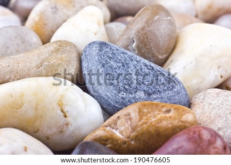 Sea shore rocks and stones indoor in studio.