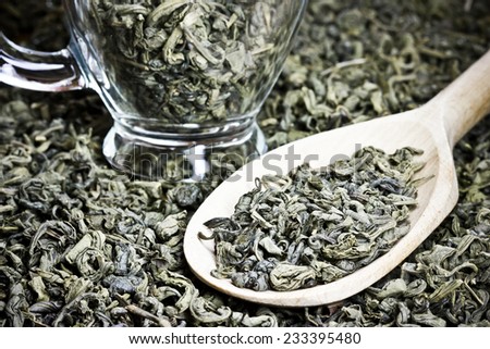 Green tea dry leafs on wooden spoon.