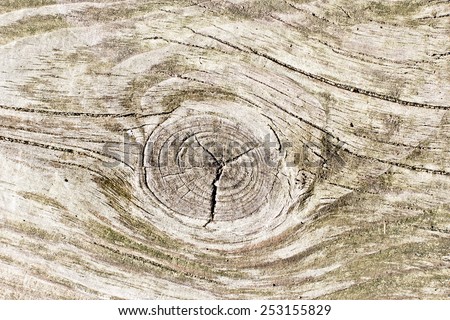 Aged wood texture with knot.