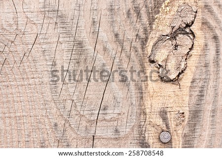 Wood knot texture.