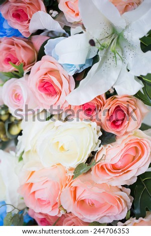Natural roses background, Flower in Thailand