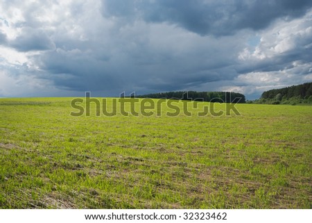 Summer field, east europe, Belarus