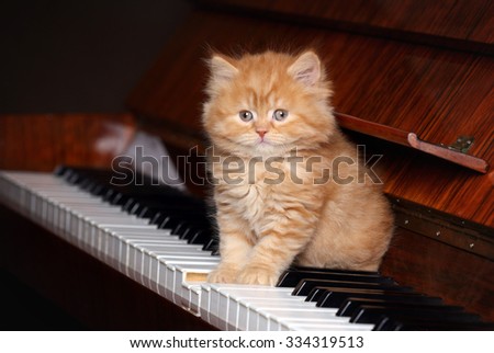 Little red kitten on the piano