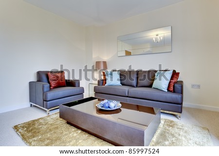 Modern reception room within small home fashionably furnished including leather chair, settee, coffee table, rug and mirror.