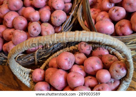Baskets full of fresh new potatoes, locally grown in Florida. Fresh produce in baskets, red-skinned new potatoes, raw with skins still on.