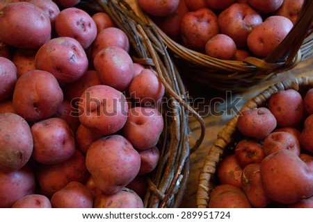 Basket full of fresh new potatoes, locally grown in Florida. Fresh produce in basket, red-skinned new potatoes, raw with skins still on.
