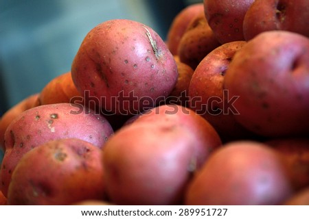 Pile of raw red new potatoes against a blue gray background. Extreme closeup on raw vegetables.