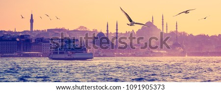 Cityscape of Istanbul in a morning haze, seaside view with silhouettes of mosques in old town. Istanbul skyline with ferryboat and seagulls at sunrize - eastern city in violet, orange and rose colors.