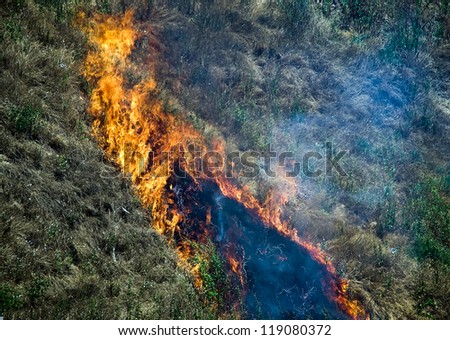 Flames of fire - burning dry grass on the hillside. A strong wind the fire quickly burns dry grass, leaving behind a black ash and smoke.
