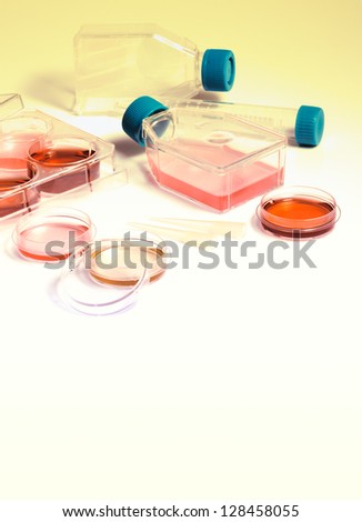 Science laboratory. Equipment and tools of scientific laboratory for experiments and research. Cell culture into plastic flasks and petri dishes for the biomedical diagnostic.