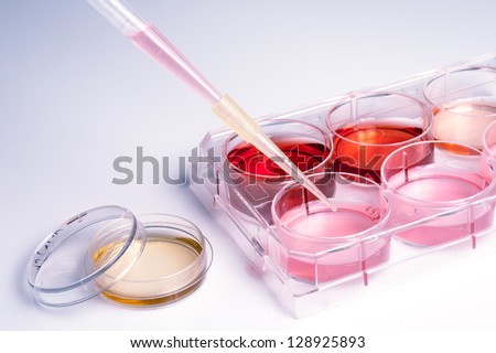 Biochemistry of blood tests. Cell culture for the biomedical diagnostic. Plastic labware with blood analysis. Equipment of scientific lab for experiments and research.