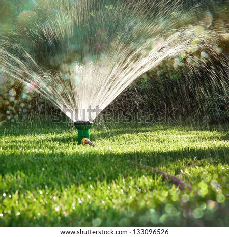 Landscape of irrigation garden. Lawn sprinkler spraying water over green grass.  Irrigation system - technique of watering in the garden.