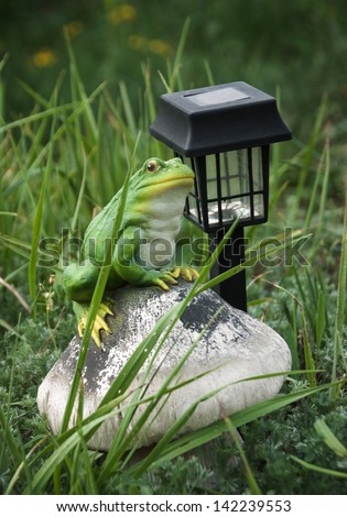 Element of landscape design - garden light in the grass for garden decoration with frog figurine. Solar-powered lamp to illuminate the garden.