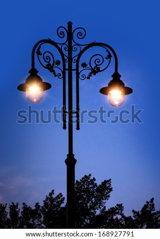 Streetlight - night city landscape with lantern. Street light in park - illumination night scene.