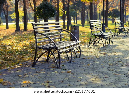 Perspective of the row of benches in autumn park. Yellow leaves in the city park of the fall season. Urban landscape in autumn.